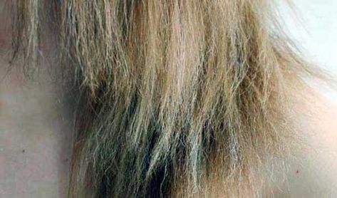 cabelo poroso