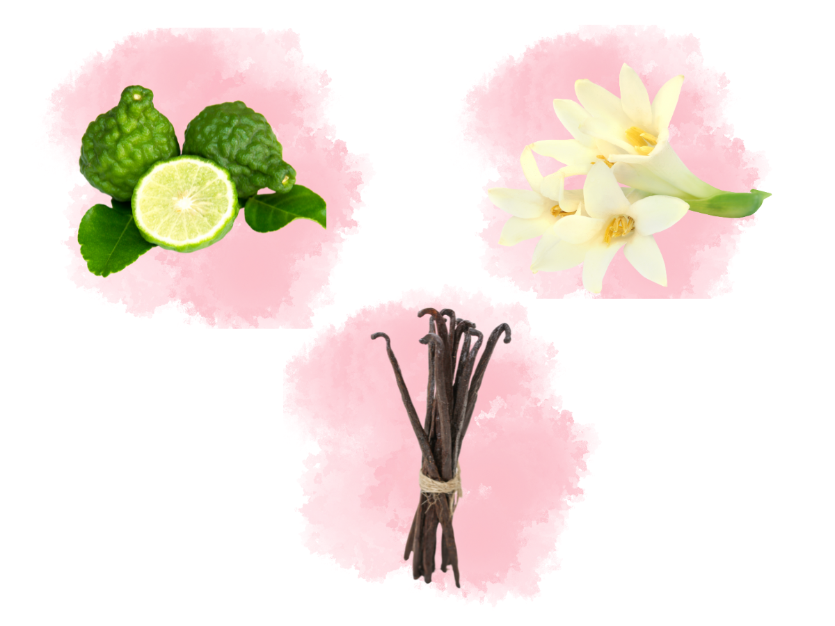 Bergamota, Tuberosa e Baunilha