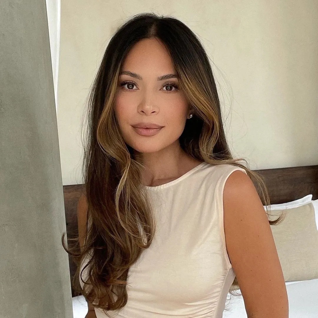 mechas Contour Highlights